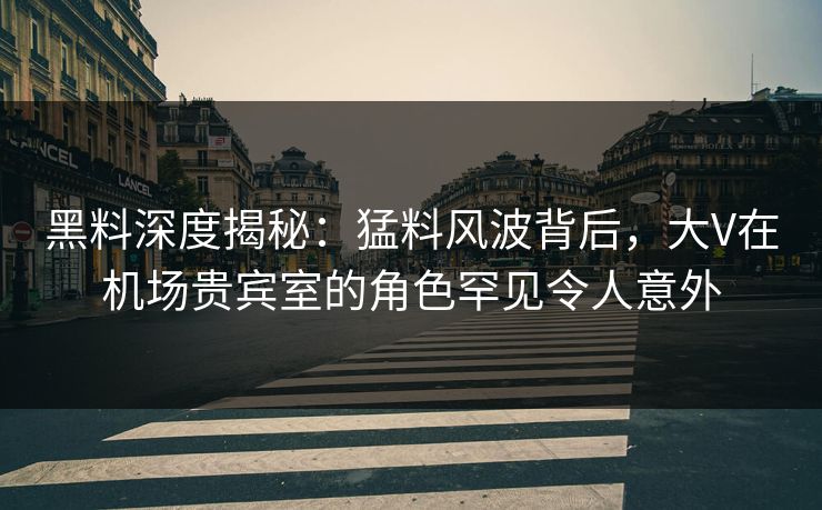 黑料深度揭秘：猛料风波背后，大V在机场贵宾室的角色罕见令人意外