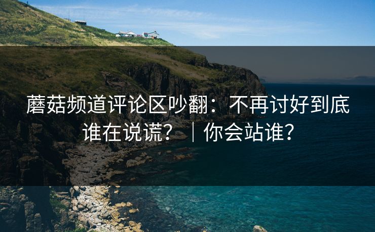 蘑菇频道评论区吵翻：不再讨好到底谁在说谎？｜你会站谁？